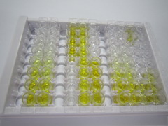 ELISA Kit for Guanylate Cyclase Activator 2A (GUCA2A)
