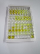 ELISA Kit for Cholesterol-25-Hydroxylase (CH25H)