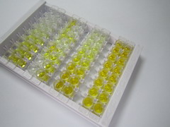 ELISA Kit for ATPase, H+ Transporting, Mitochondrial F1 Complex Beta Polypeptide (ATP5b)