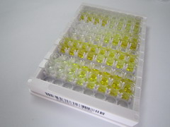 ELISA Kit for Pregnancy Specific Beta-1-Glycoprotein 2 (PSG2)