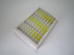 ELISA Kit for Prenylcysteine Oxidase 1 (PCYOX1)