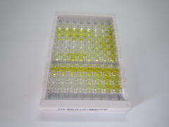 ELISA Kit for Mevalonate Decarboxylase (MVD)
