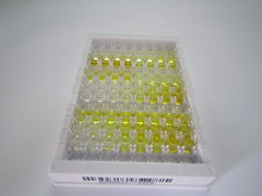 ELISA Kit for Leprecan Like Protein 1 (LEPREL1)