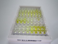 ELISA Kit for Patatin Like Phospholipase Domain Containing Protein 3 (PNPLA3)