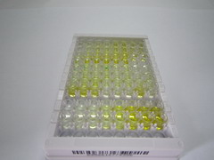 ELISA Kit for Histidine Ammonia Lyase (HAL)