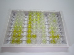 ELISA Kit for Fumarylacetoacetate Hydrolase (FAH)