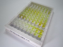 ELISA Kit for DNA Methyltransferase 3A (DNMT3A)