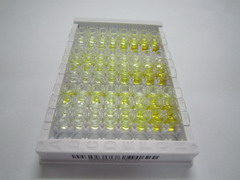 ELISA Kit for Protection Of Telomeres 1 Homolog (POT1)