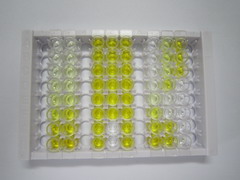 ELISA Kit for Coiled Coil And C2 Domain Containing Protein 1A (CC2D1A)