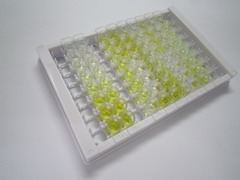 ELISA Kit for MYC Induced Nuclear Antigen (MINA)