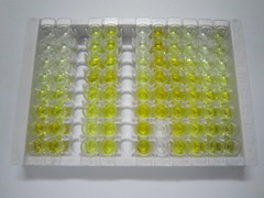 ELISA Kit for Collagen Triple Helix Repeat Containing Protein 1 (CTHRC1)