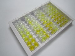 ELISA Kit for ATPase, Na+/K+ Transporting Beta 4 Polypeptide (ATP1b4)