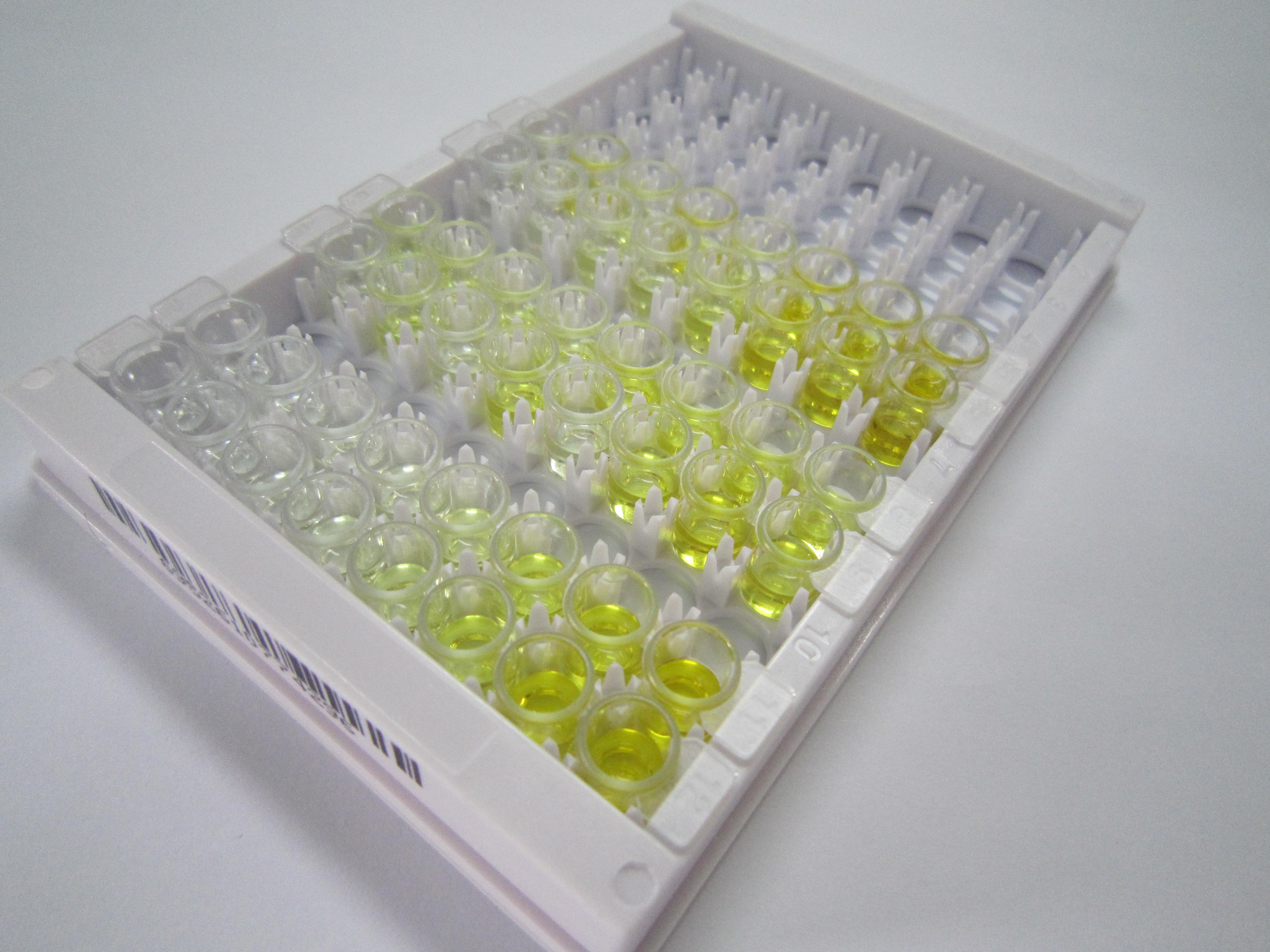 ELISA Kit for WD Repeat Containing Domain Protein 52 (WDR52)