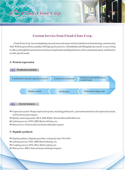 Custom Service from Cloud-Clone Corp.