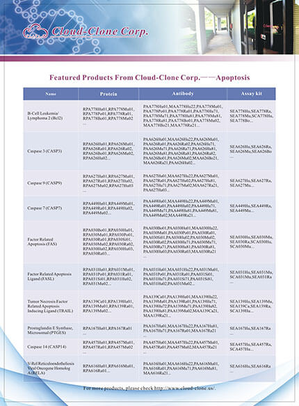 Featured Productes From Cloud-Clone Corp. -- Apoptosis