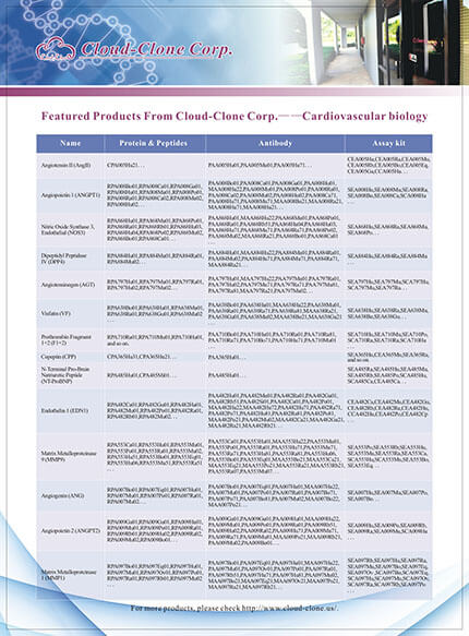 Featured Productes From Cloud-Clone Corp. -- Cardiovascular biology