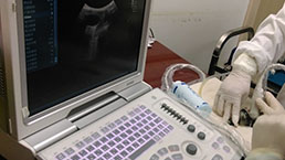 Small Animal Ultrasound Imaging Experiment Service