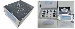 Magnetic Luminex Assay Kit for Aminoacyl tRNA Synthetase Complex Interacting Multifunctional Protein 1 (AIMP1) ,etc.