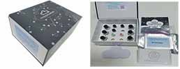 Multiplex Assay Kit for Vascular Endothelial Growth Factor A (VEGFA) ,etc. by FLIA (Flow Luminescence Immunoassay)