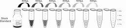 ELISA Kit for Corticotropin Releasing Factor (CRF)